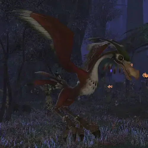 Condor in Final Fantasy XIV： Everything You Need to Know