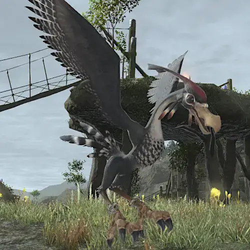 Condor in Final Fantasy XIV： Everything You Need to Know