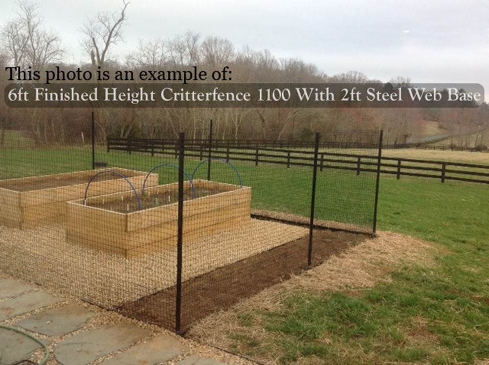 Honest Critter Fence Reviews： Customer Experiences & Top Recommendations