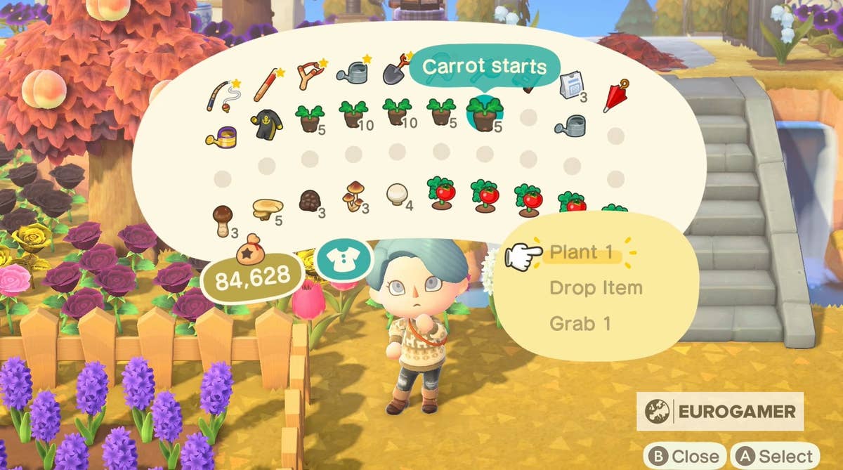 The Ultimate Guide to Tomatoes in Animal Crossing: New Horizons